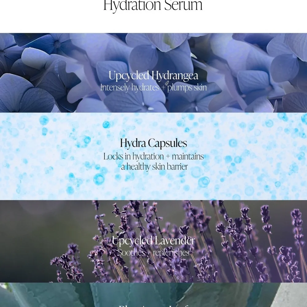✨ Byroe Hydrangea Tea Intensive Hydration Serum ✨ BNIB - 30 mL